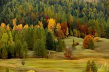lautunno  qui.jpg